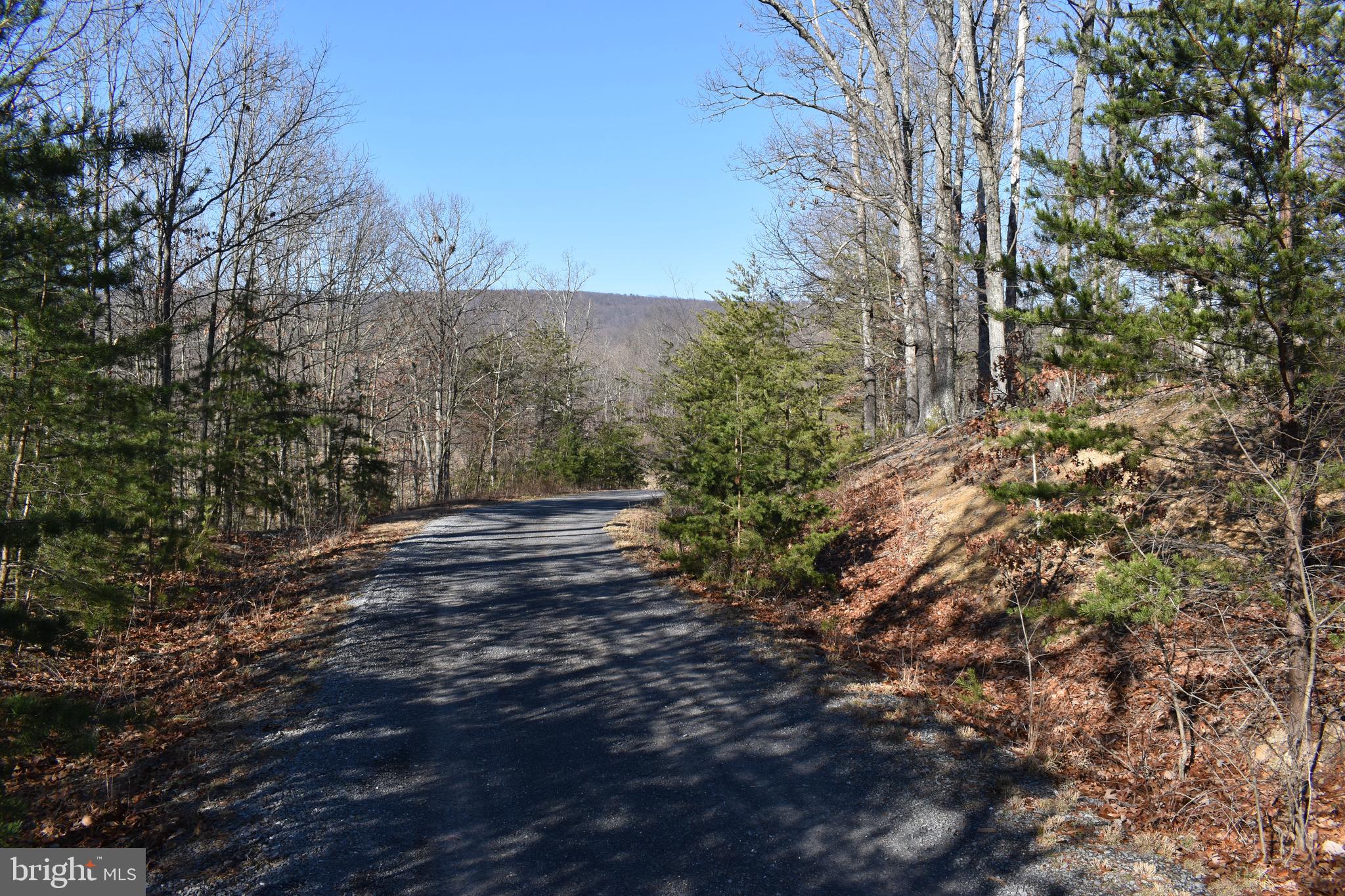 5 Acres of Pristine WV wonderland! This property is perc'ed and ready to build in Forest Haven. Community has nicer homes on 5+ acre lots and is just 15 minutes to I-81, very close to the Winchester VA area. This lot is just 2 lots away from backing up to Shanghai and Sleepy Creek Wildlife Management State Grounds of over 21,000 acres of hunting, ATV, fishing, etc. This is a great spot! There are two other lots being listed with this one to complete the package and give you three buildable lots of just about 15 Acres Total. Look for Lot 21 and 22 Fable Rd to get more info.