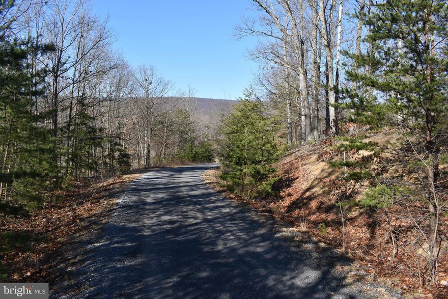 5 Acres of Pristine WV wonderland!  This property is perc'ed and ready to build in Forest Haven.  Community has nicer homes on 5+ acre lots and is just 15 minutes to I-81, very close to the Winchester VA area.  This lot is just 2 lots away from backing up to Shanghai and Sleepy Creek Wildlife Management State Grounds of over 21,000 acres of hunting, ATV, fishing, etc.  This is a great spot!  There are two other lots being listed with this one to complete the package and give you three buildable lots of just about 15 Acres Total.  Look for Lot 21 and 22 Fable Rd to get more info.