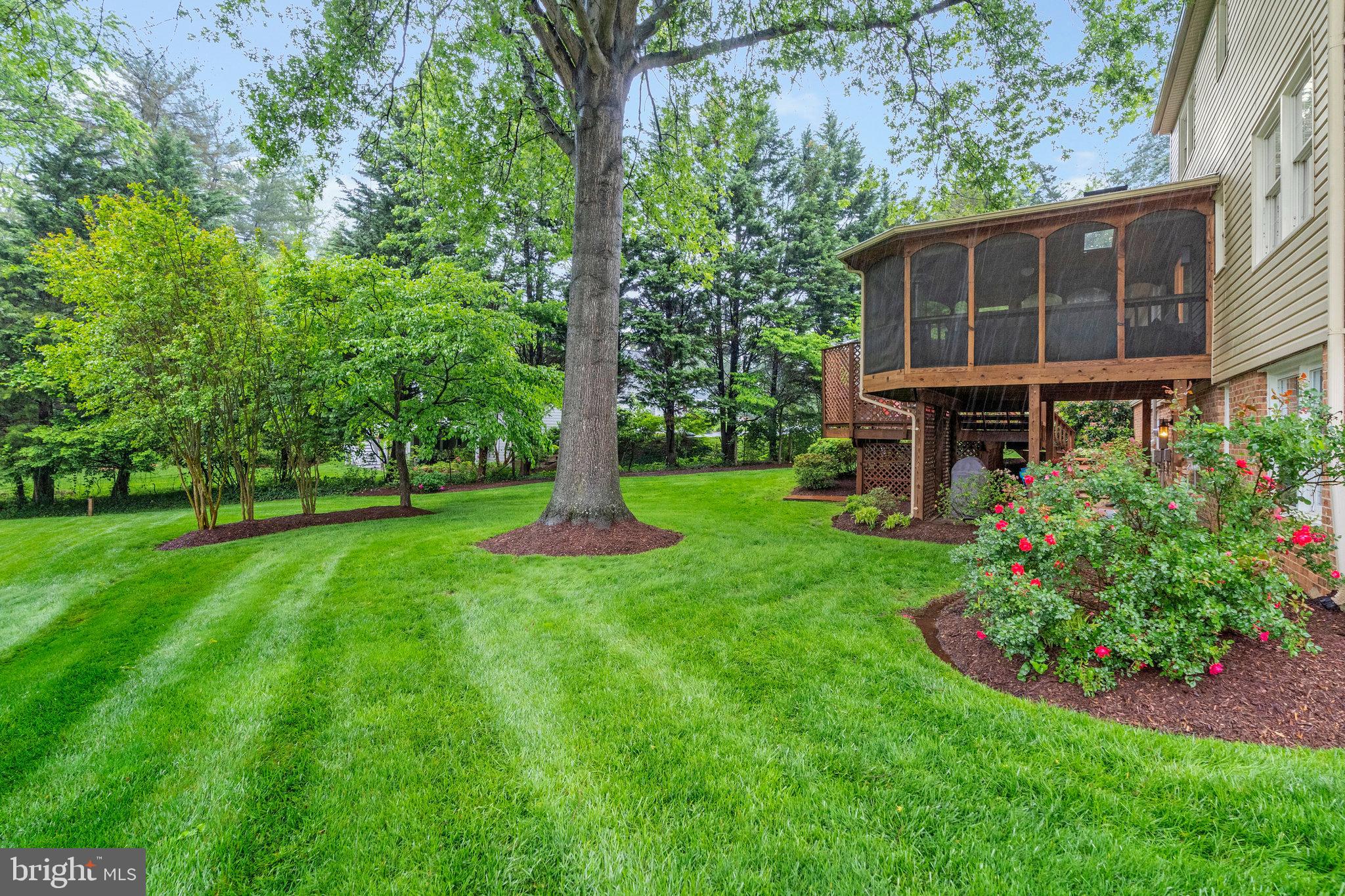 TAMARACK - Residential