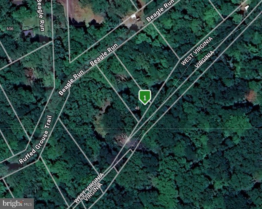 Cabin in the Woods backing to the scenic, historic Appalachian trail! Rural fixer-upper cabin for use as private residence, hunting getaway, or tear down.  Has utilities, including underground electric. Water currently does not enter the building, but can be added through the public water tap located on the property. There is a pavilion on the property as well. Location has some of the best hunting in the area. Buyer should perform due diligence.