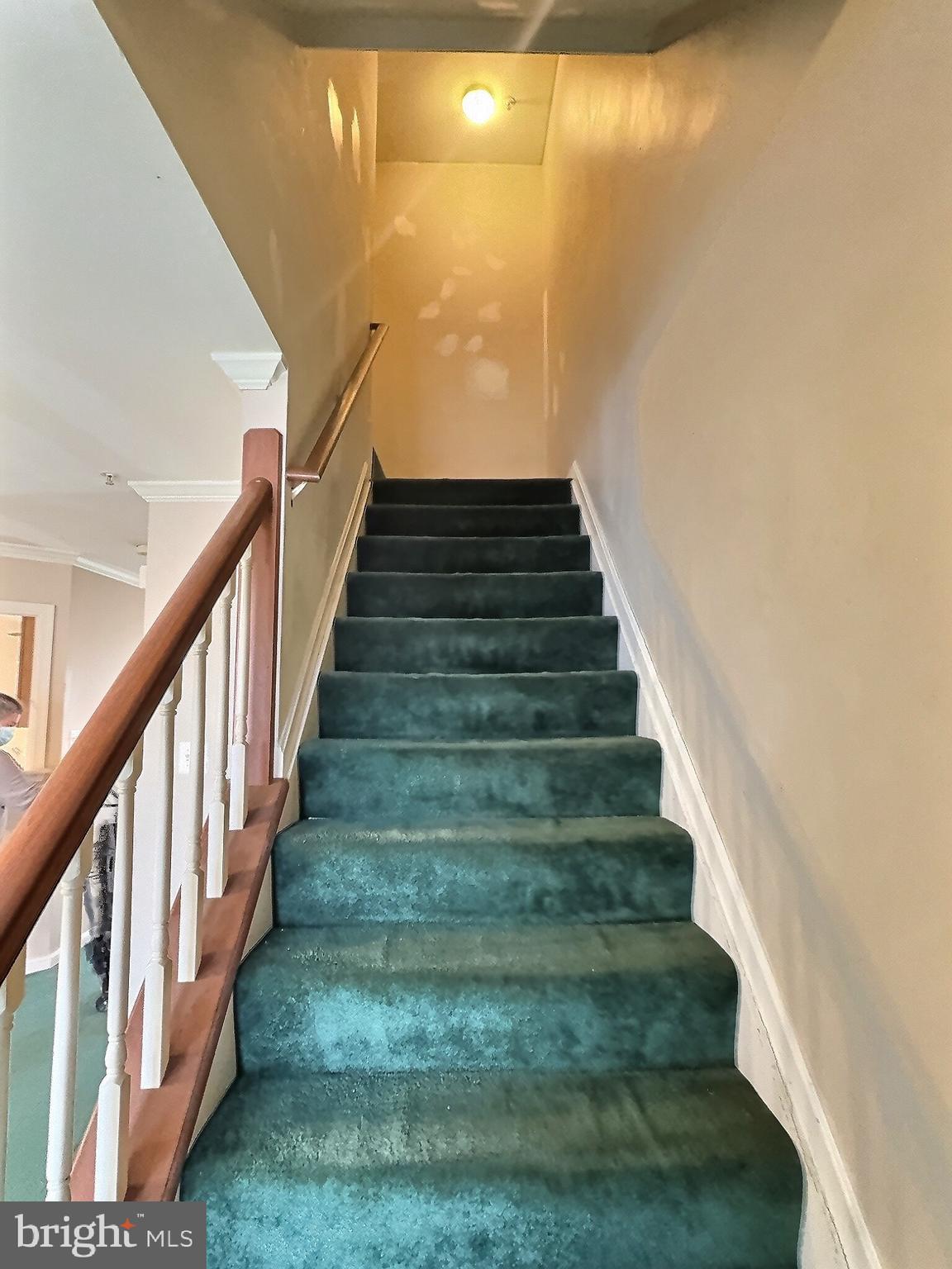 MEADOWS AT WHITE OAK - Residential