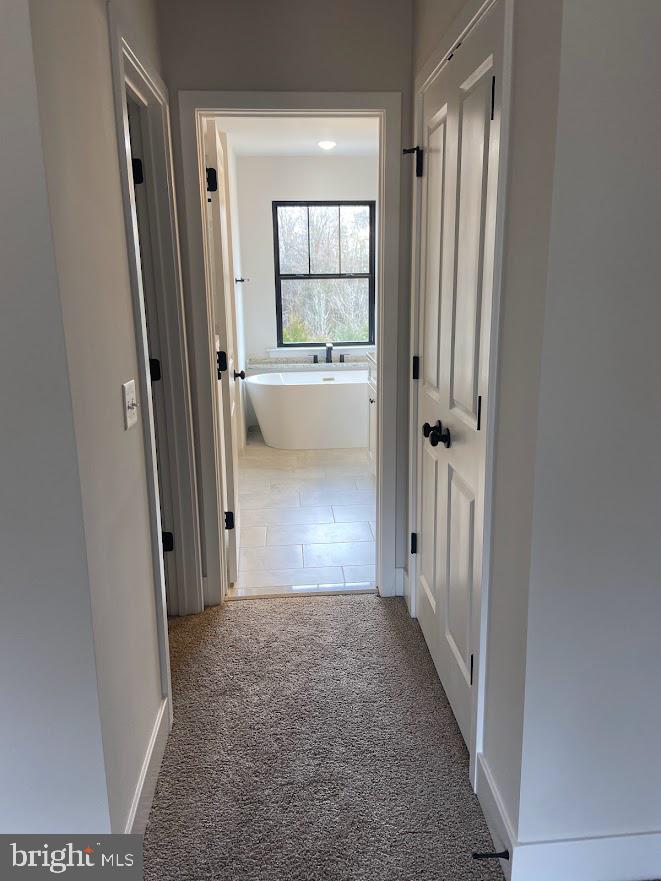 PIPE RUN - Residential