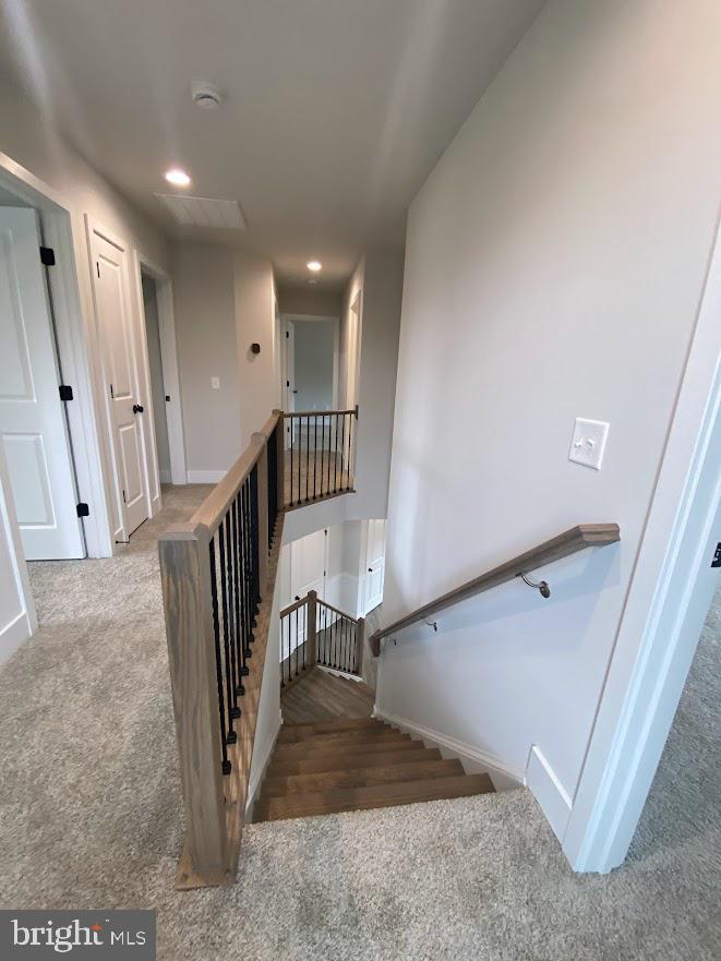 PIPE RUN - Residential