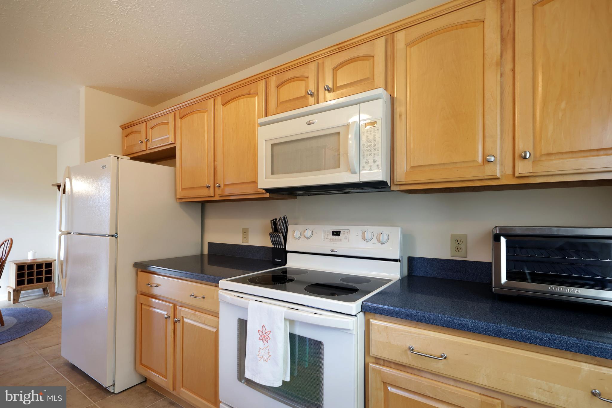 VILLAGE AT PENN STATE - HOMECOMING RIDGE II - Residential