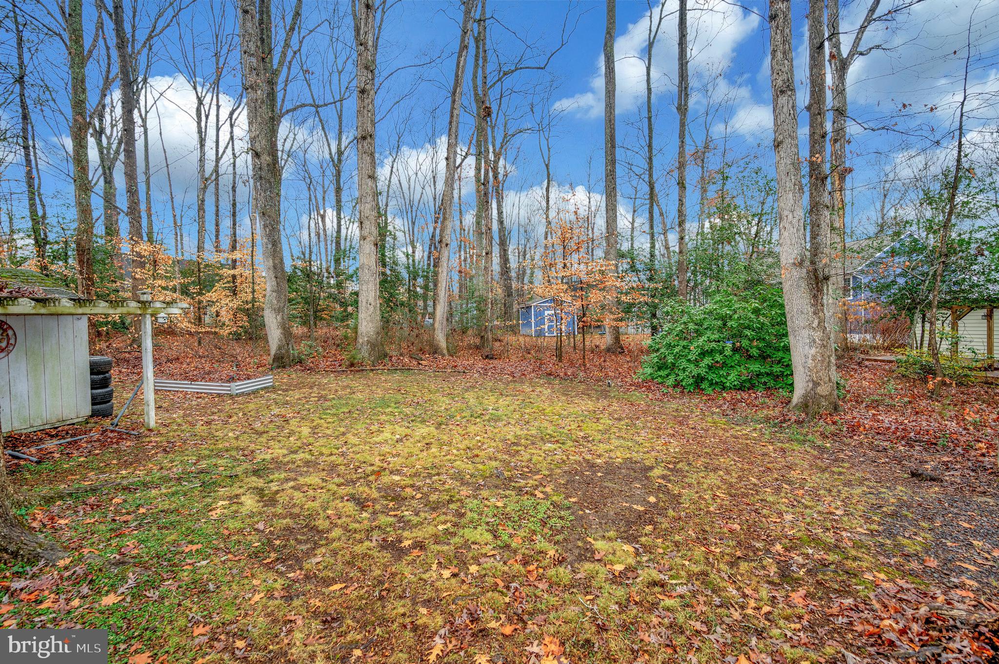 LAKE OF THE WOODS - Residential