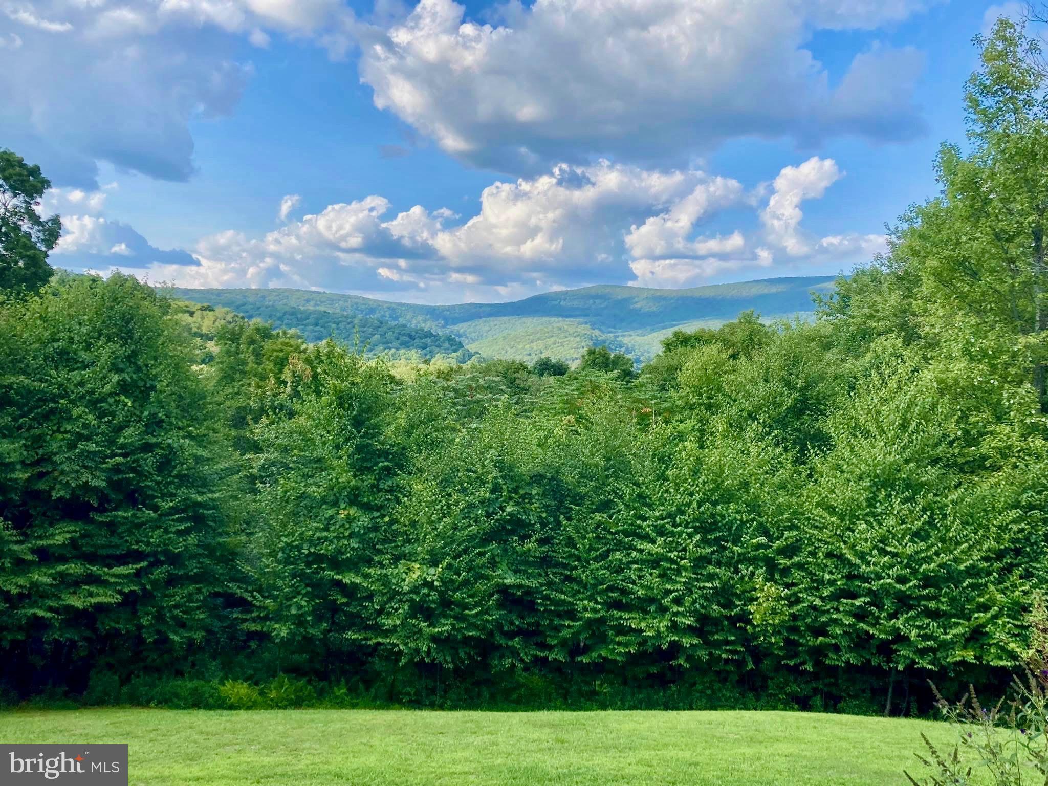 295 SHAFFER ROAD
