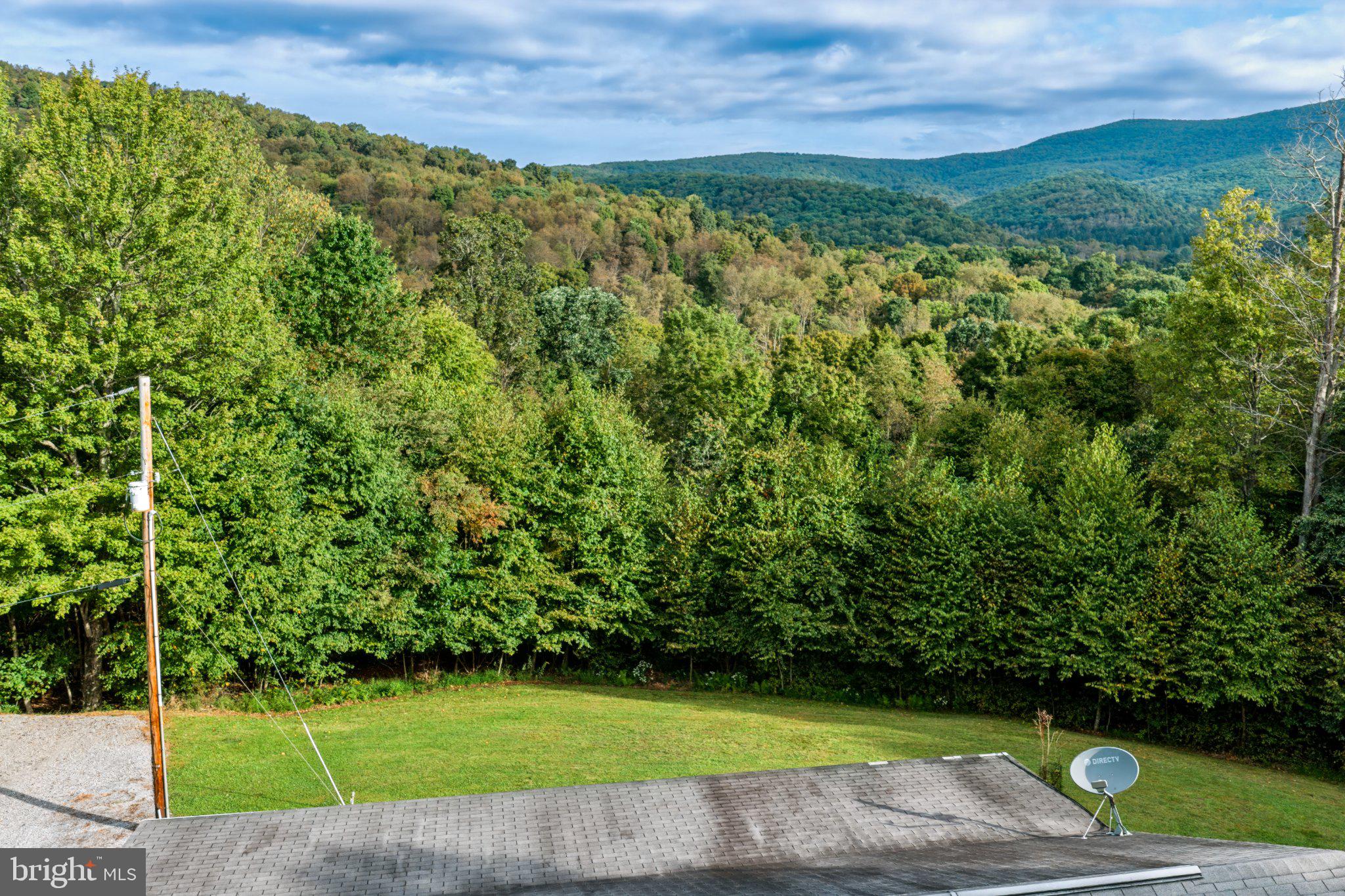 295 SHAFFER ROAD