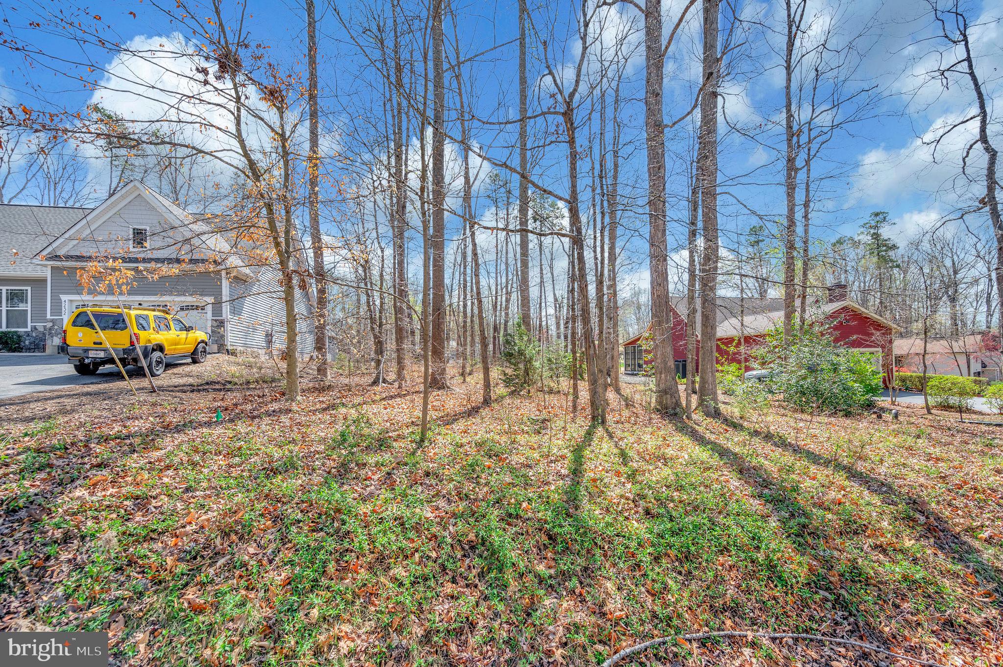 LAKE OF THE WOODS - Land