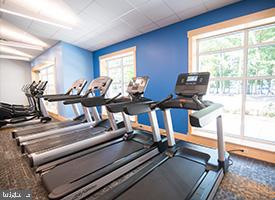 LAKE OF THE WOODS - Land