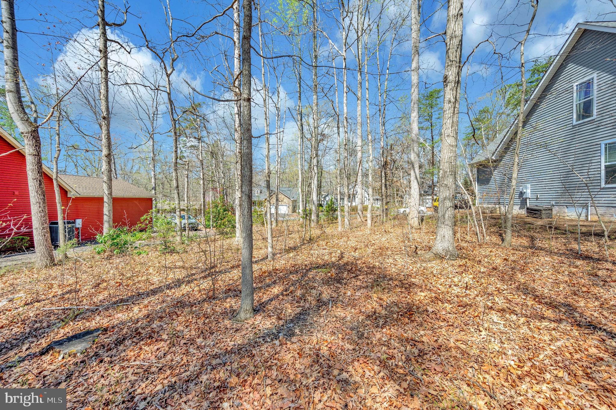 LAKE OF THE WOODS - Land