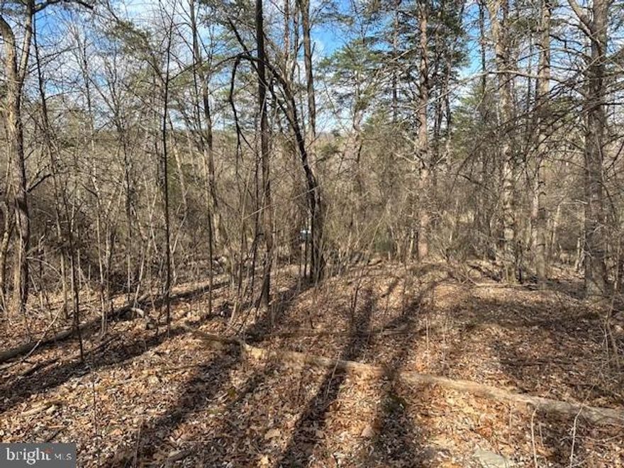 Big Time in the Mountains—On a Budget! Lot 29 in the French’s Neck East Subdivision offers 3.12 acres of budget-friendly mountain seclusion, perfect for anyone seeking a recreational retreat or future homesite. Completely wooded with mature trees and a ready-to-use camping platform, this property is tucked away in the mountains of Hampshire County, West Virginia, offering the kind of privacy and peace that’s hard to find—yet it’s located less than two hours from Washington, D.C. Its proximity to the South Branch of the Potomac River makes it a natural launchpad for outdoor recreation, with endless opportunities for fishing, kayaking, hiking, and more. Whether you’re looking for a weekend getaway, a place to unplug, or an affordable investment in mountain land, this lot delivers. Electricity is available at the property boundary, adding convenience for future development. Don’t miss your chance to own a slice of West Virginia wilderness at a price that makes sense.