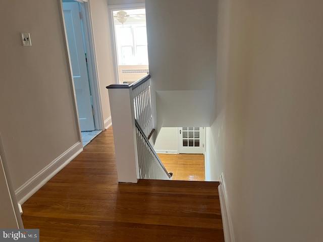 MANOA - Residential Lease