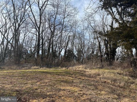 Vacant Land For Sale - 71 Button Mill Road<br/> BRIDGETON, NJ 08302