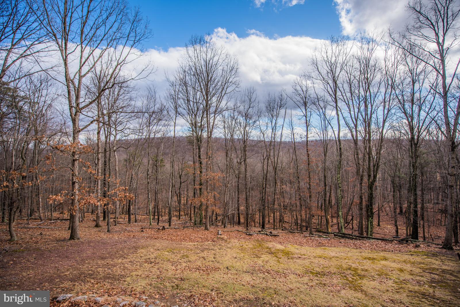 PINEY RIDGE - Residential