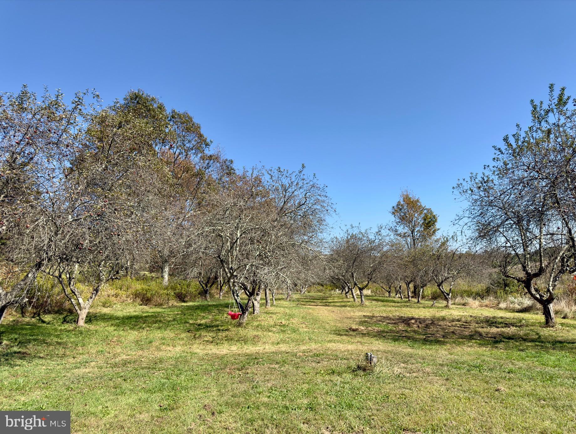 316 OLD COUNTY ROAD