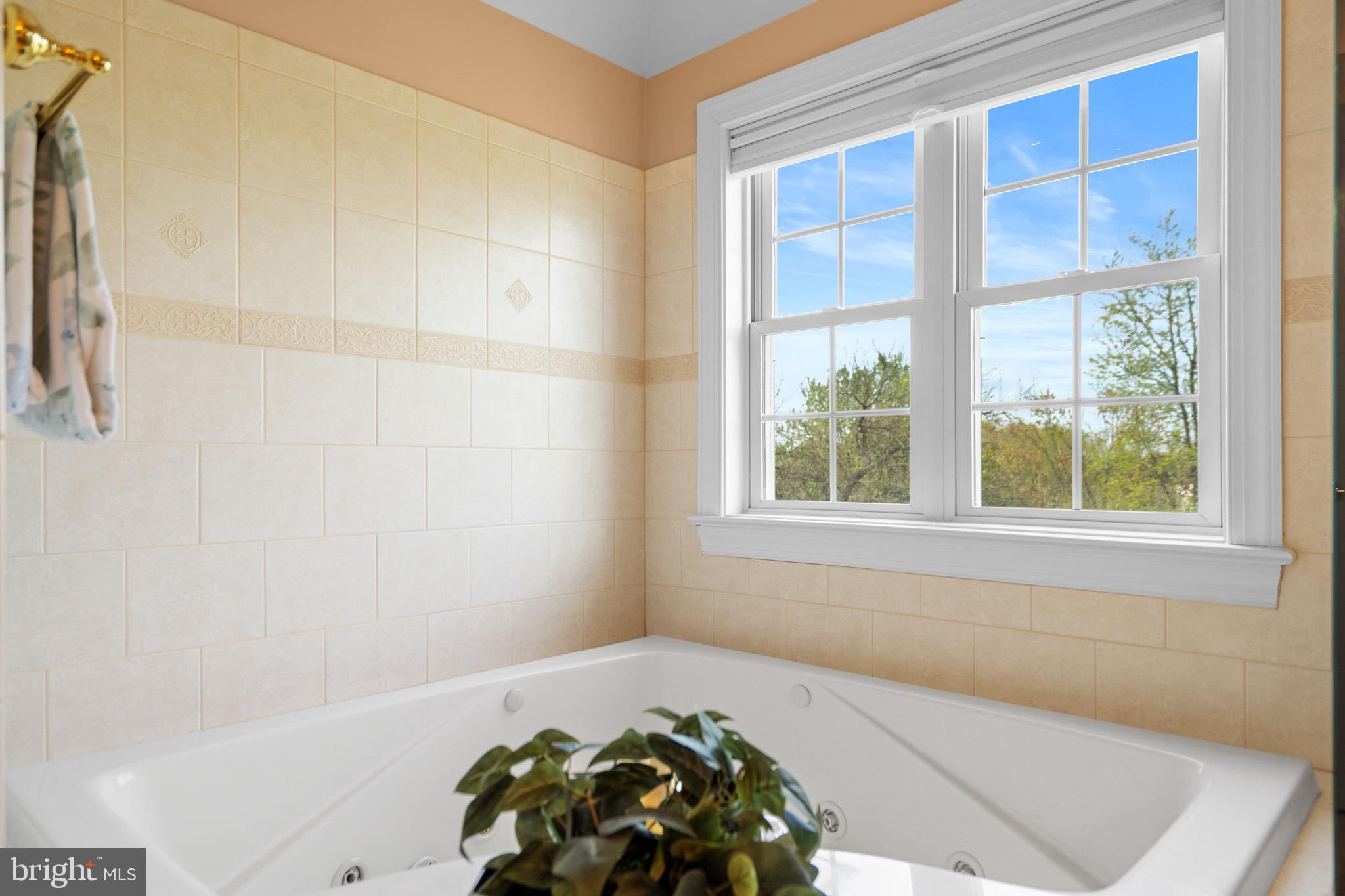 FARMINGTON ON THE GREEN - Residential