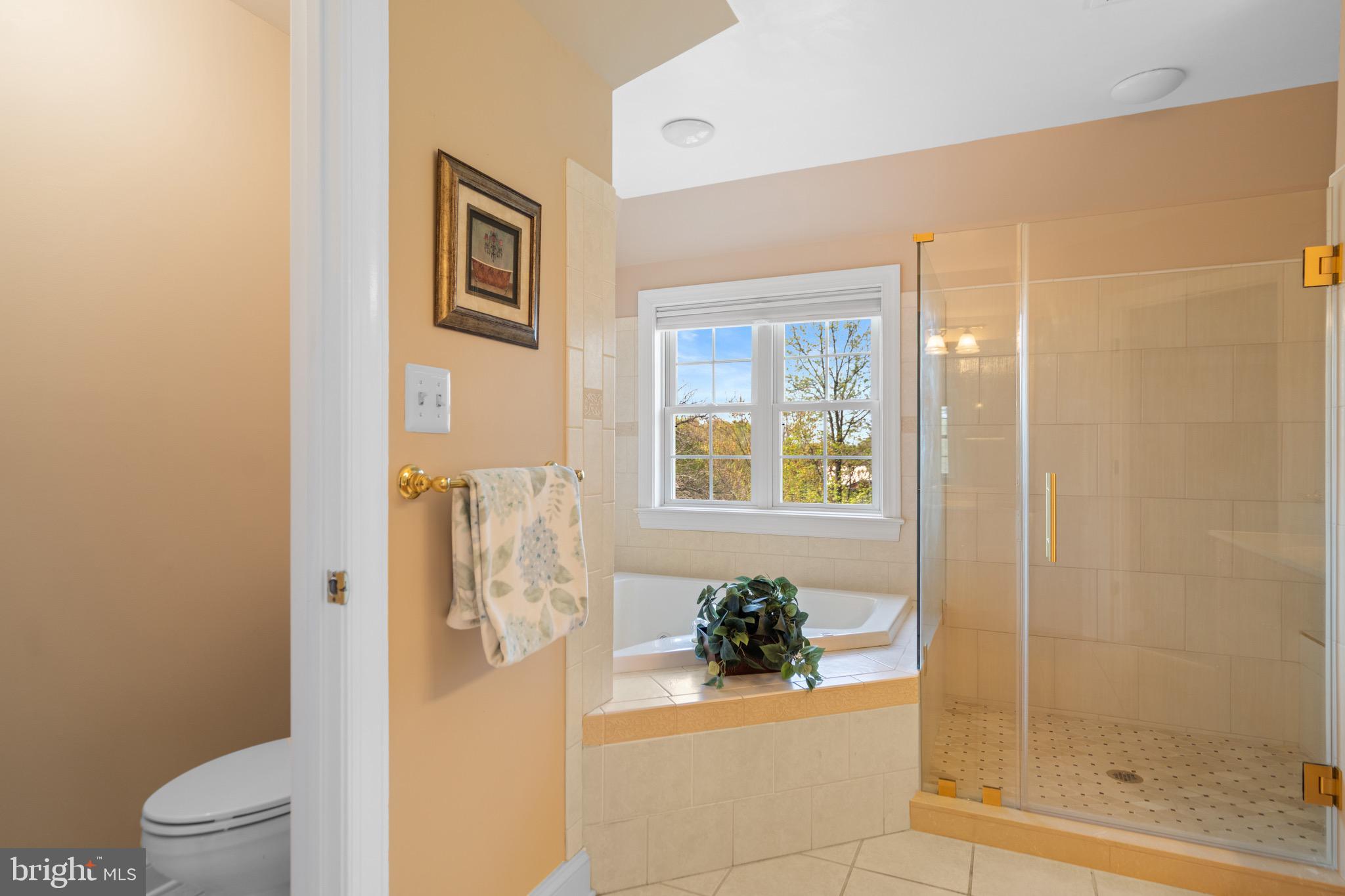 FARMINGTON ON THE GREEN - Residential