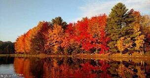 ARROWHEAD LAKES - Residential