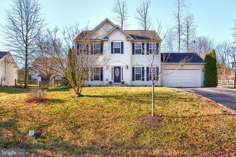115 FLINTSTONE DRIVE NORTH EAST MD 21901