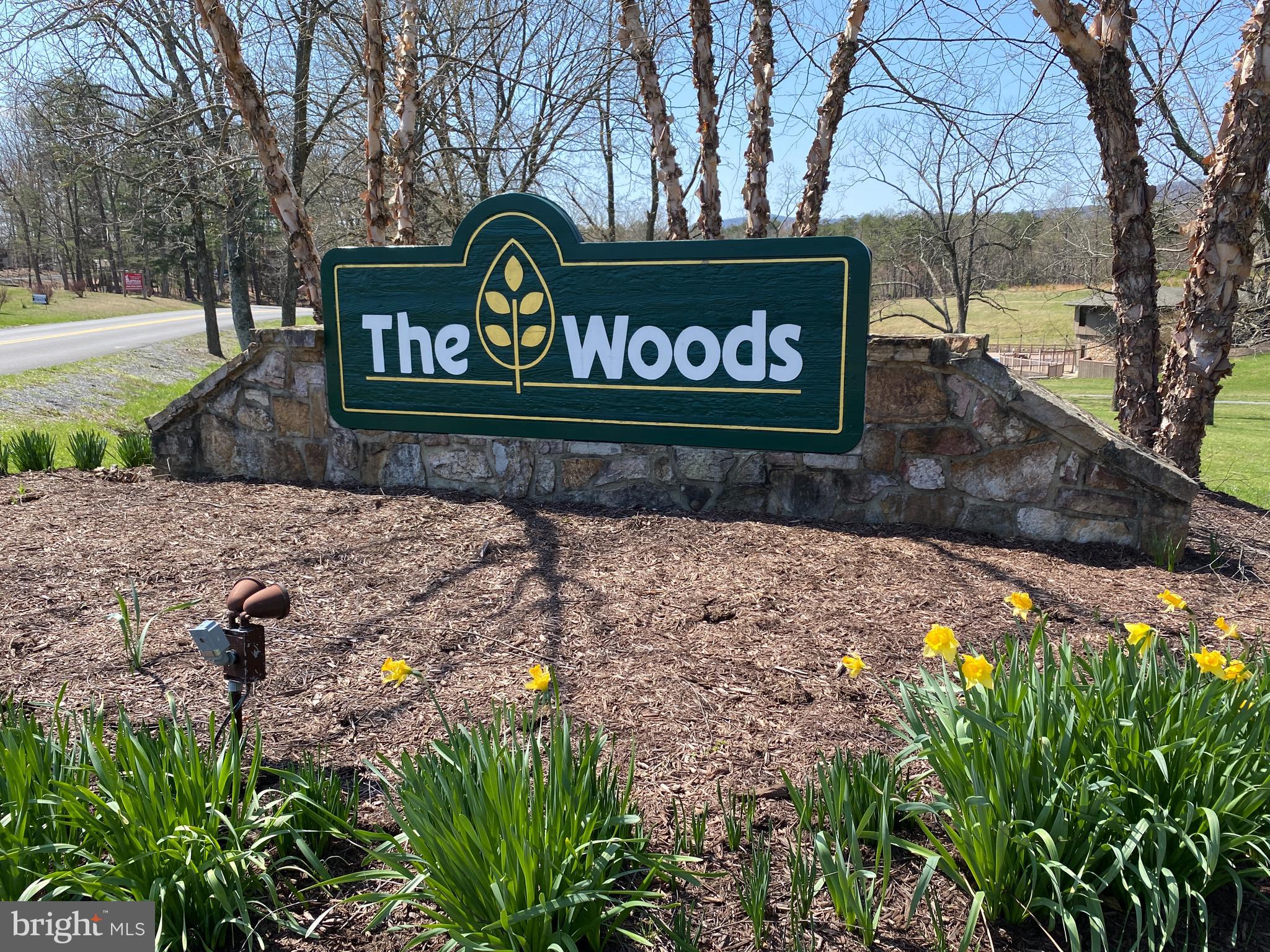 THE WOODS - Residential