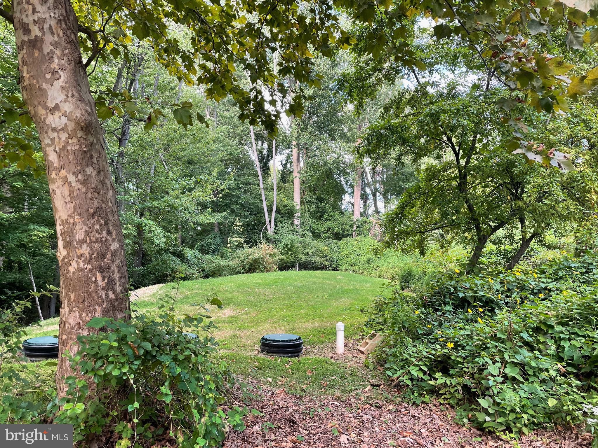 BRYN GWELED HOMEST - Residential