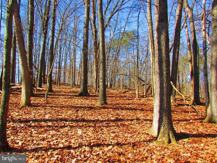 LONG ACRE ESTATES - Land