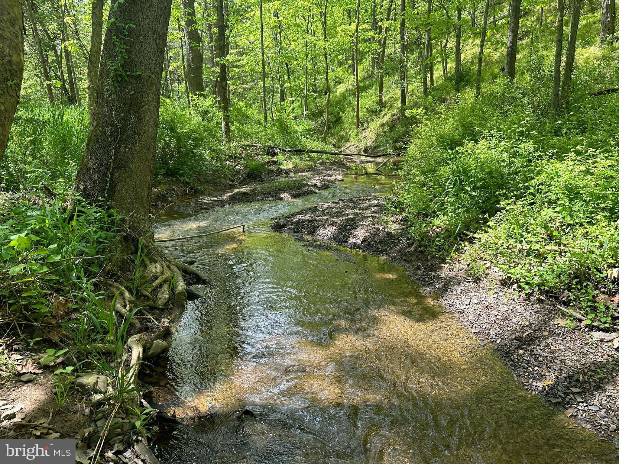 LONG ACRE ESTATES - Land