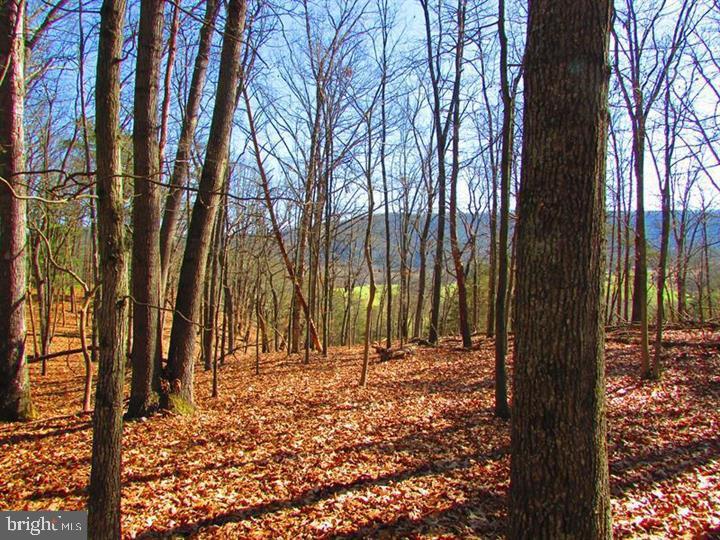 LONG ACRE ESTATES - Land