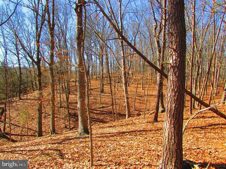 LONG ACRE ESTATES - Land