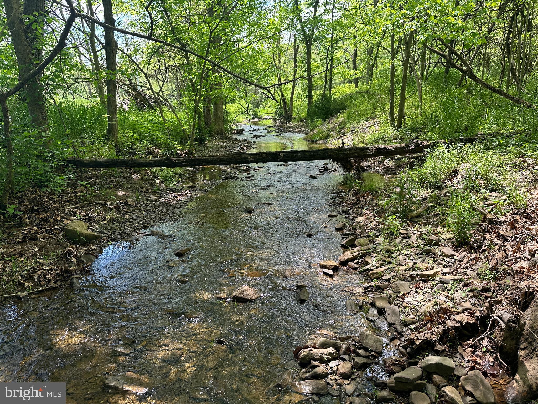 LONG ACRE ESTATES - Land