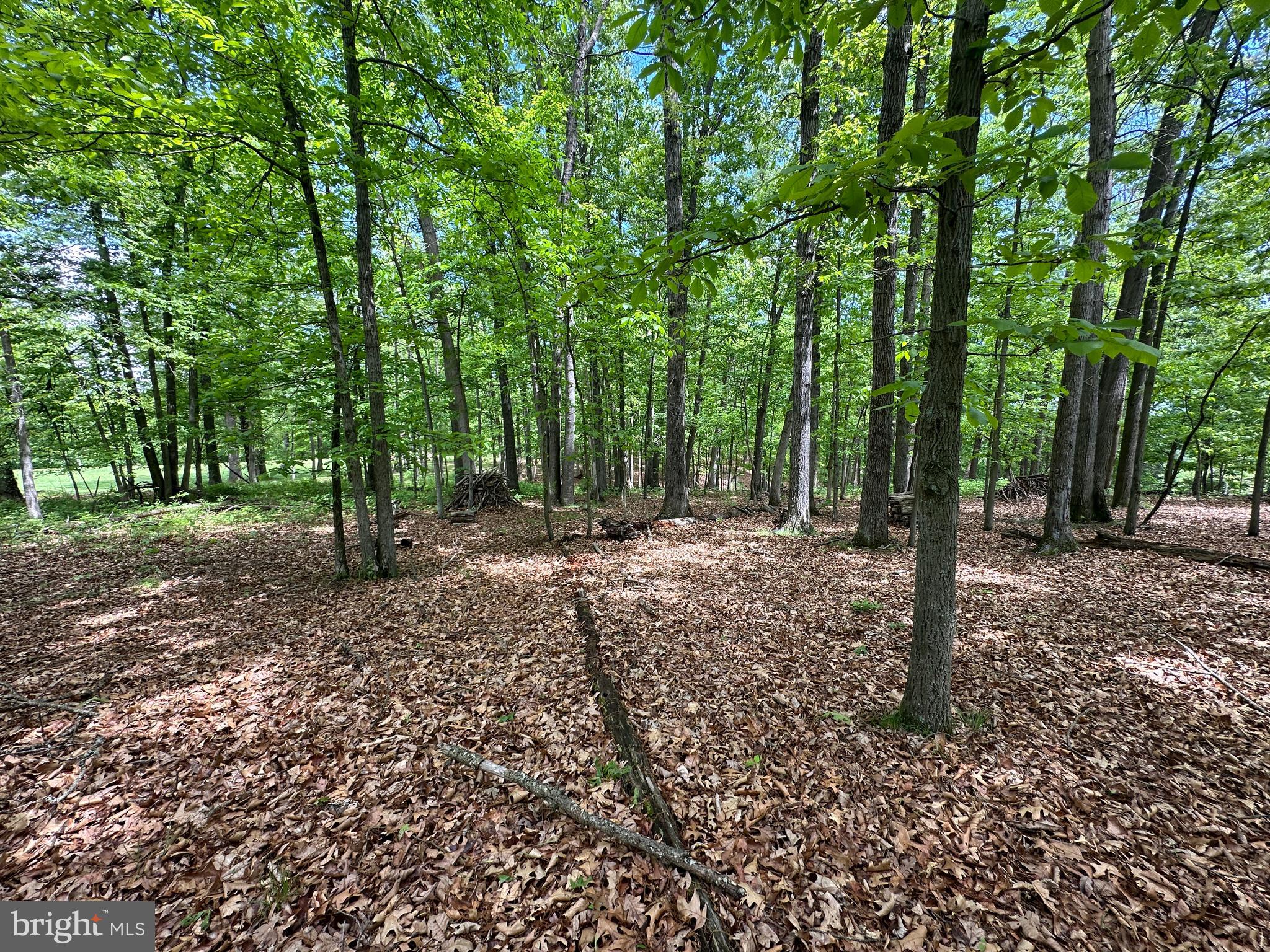 LONG ACRE ESTATES - Land