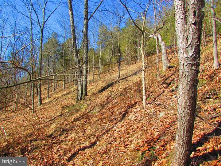 LONG ACRE ESTATES - Land