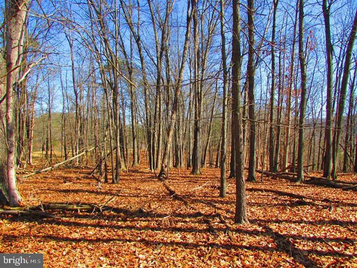 LONG ACRE ESTATES - Land