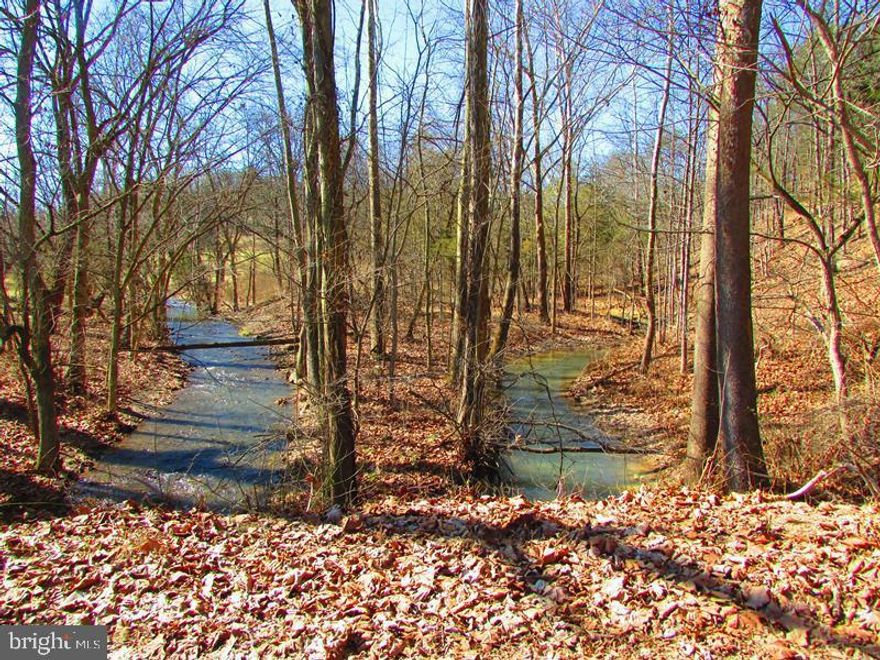 DOUBLE CREEK......5 WOODED ACRES THAT TOUCHES ALL THE BASES: LOTS OF LEVEL LAND COVERED IN BIG HARDWOODS WITH SEMI SECLUDED BUILDING SITE OFFERING GREAT VIEWS OF SOUTH BRANCH MOUNTAIN, 2 STREAMS FLOW THROUGH THE BOTTOM OF THE PROPERTY....A GREAT PLACE TO CATCH MINNOWS FOR YOUR FLOAT TRIP.....EASY ACCESS, ONLY 1/4 MILE OFF THE PAVED ROAD ON STATE MAINTAINED GRAVEL ROAD, 10 MINUTES FROM ROMNEY, 2 MILES FROM PUBLIC ACCESS ON THE SOUTH BRANCH OF THE POTOMAC RIVER, 5 MILES FROM "WHITEHORSE MOUNTAIN WILDLIFE MANAGEMENT AREA" 1700 ACRES OF PUBLIC HUNTING & HIKING AND ONLY 30 MINUTES FROM CUMBERLAND, MD......HERE'S THE BEST PART.....NO HOA DUES AND VERY MINIMAL RESTRICTIONS: NO SINGLE WIDES, NO TINY HOMES, NO COMMERCIAL BUSINESS....OTHER THAN THAT, JUST ABOUT ANYTHING GOES! A LOT OF BANG FOR YOUR BUCK, PERFECT FOR A RECREATIONAL CAMP SITE OR IT'S PLENTY GOOD ENOUGH FOR BUILDING. IF YOU'RE NOT FIRST, YOU'RE GONNA BE LAST ON THIS ONE!