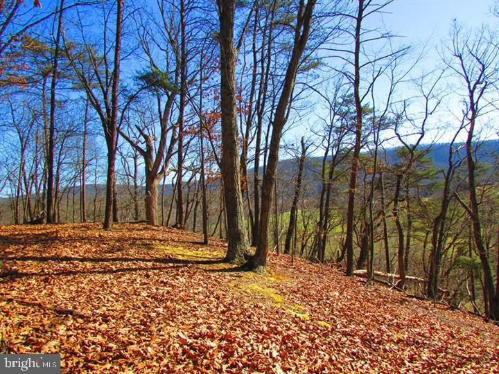 LONG ACRE ESTATES - Land