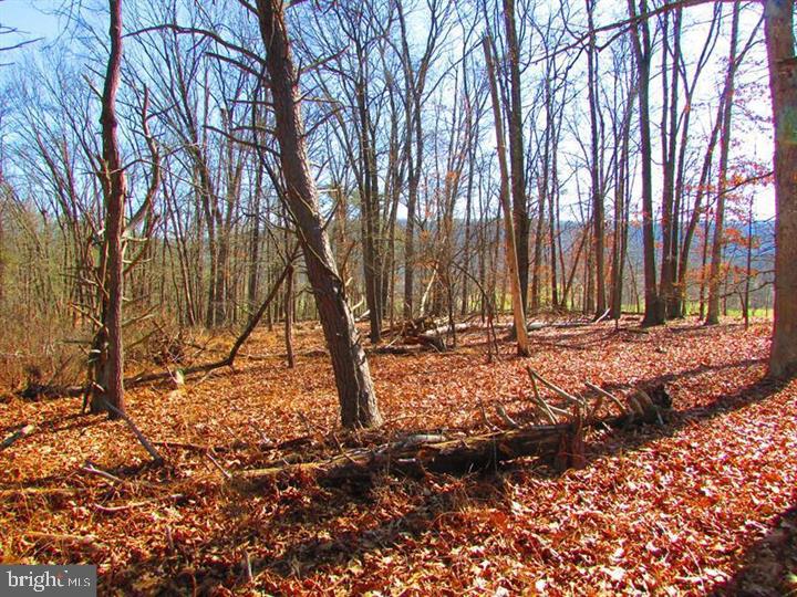 LONG ACRE ESTATES - Land