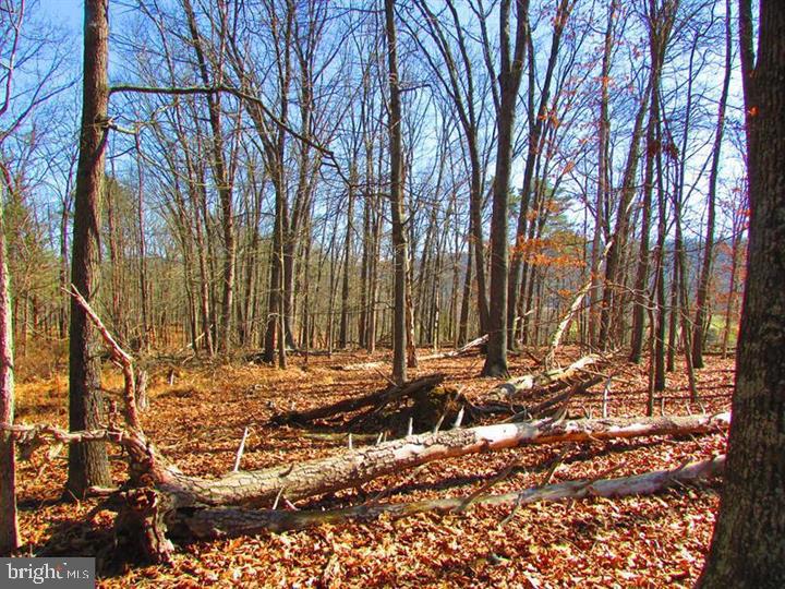 LONG ACRE ESTATES - Land