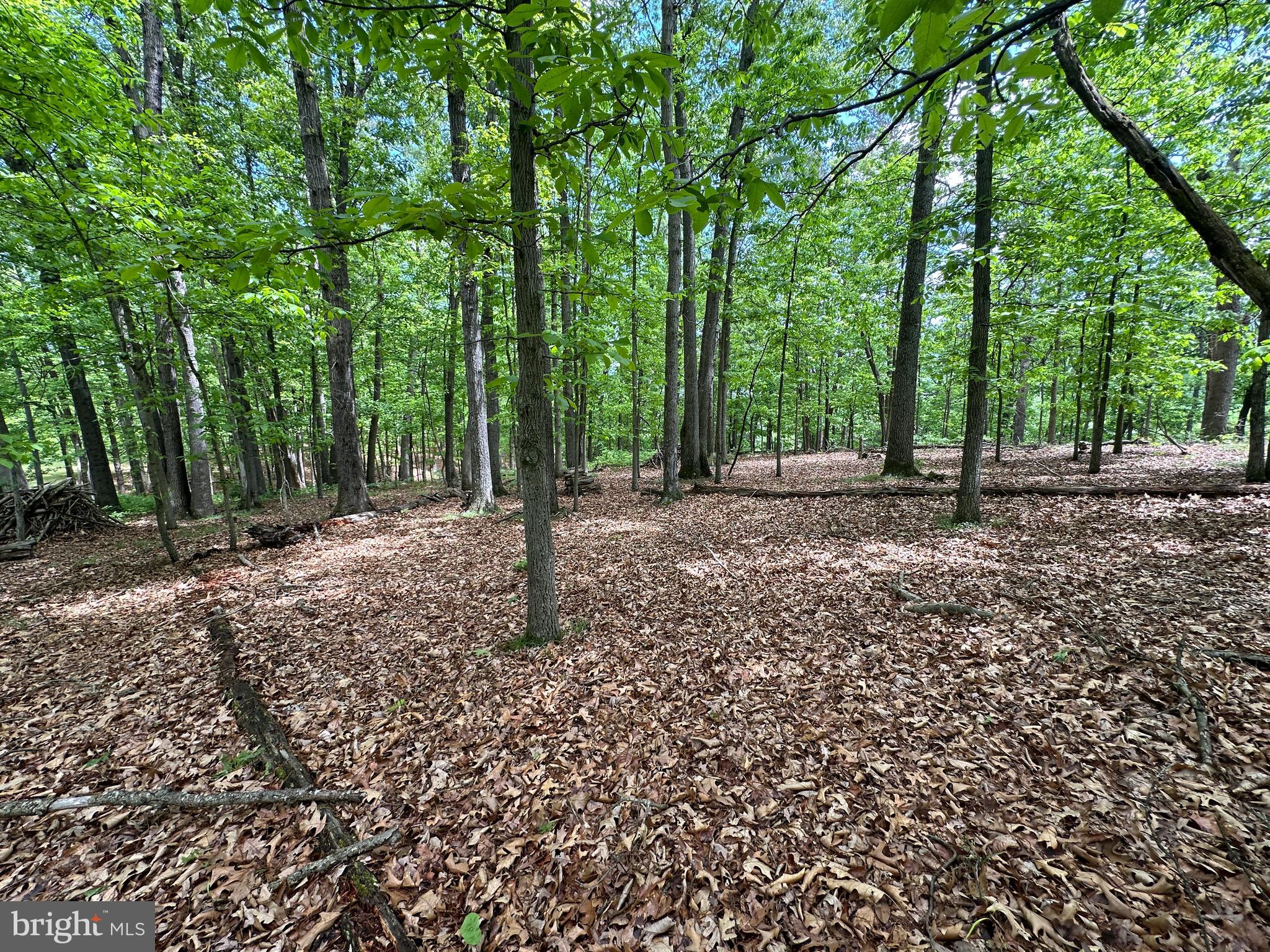 LONG ACRE ESTATES - Land