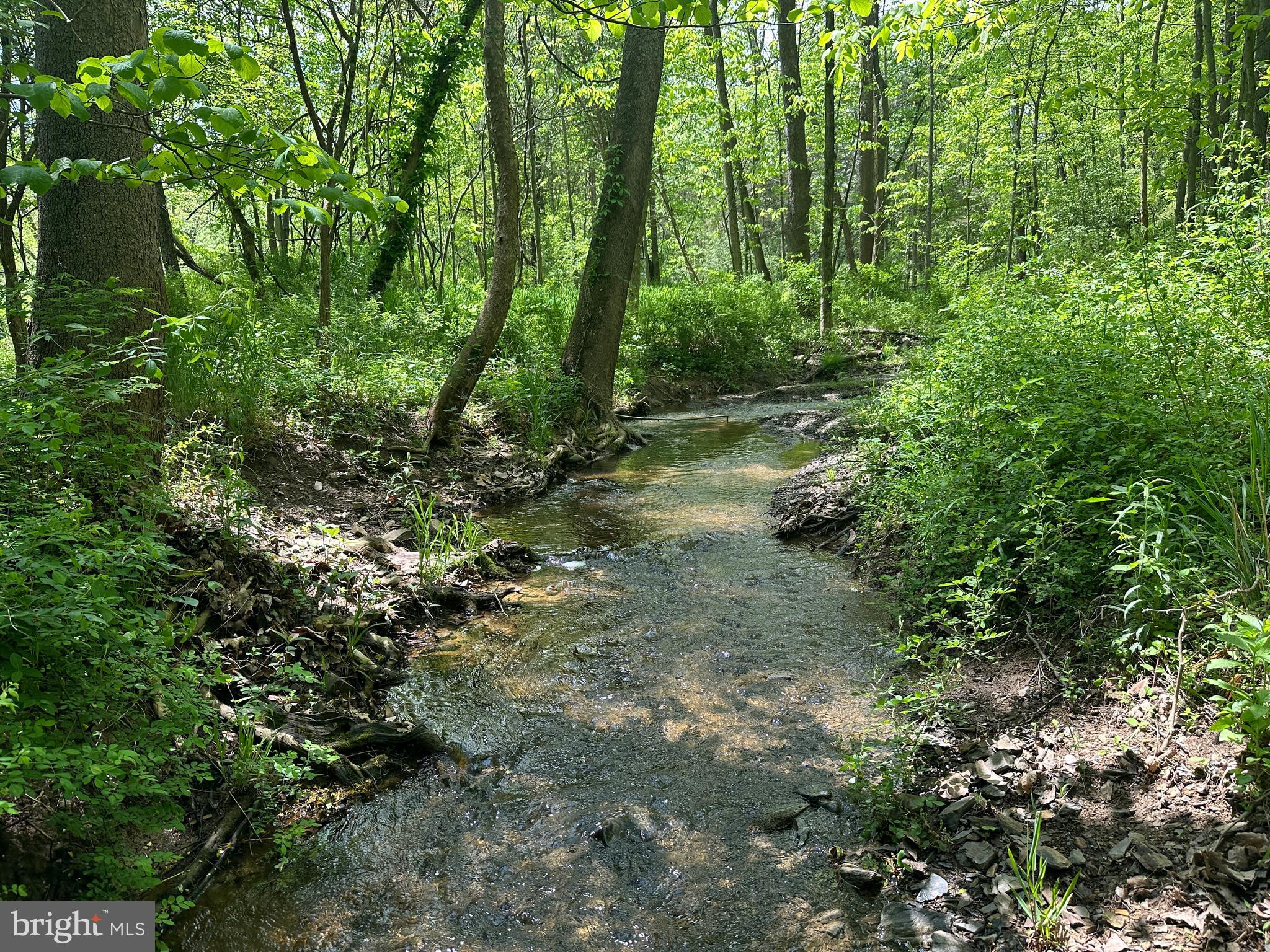 LONG ACRE ESTATES - Land