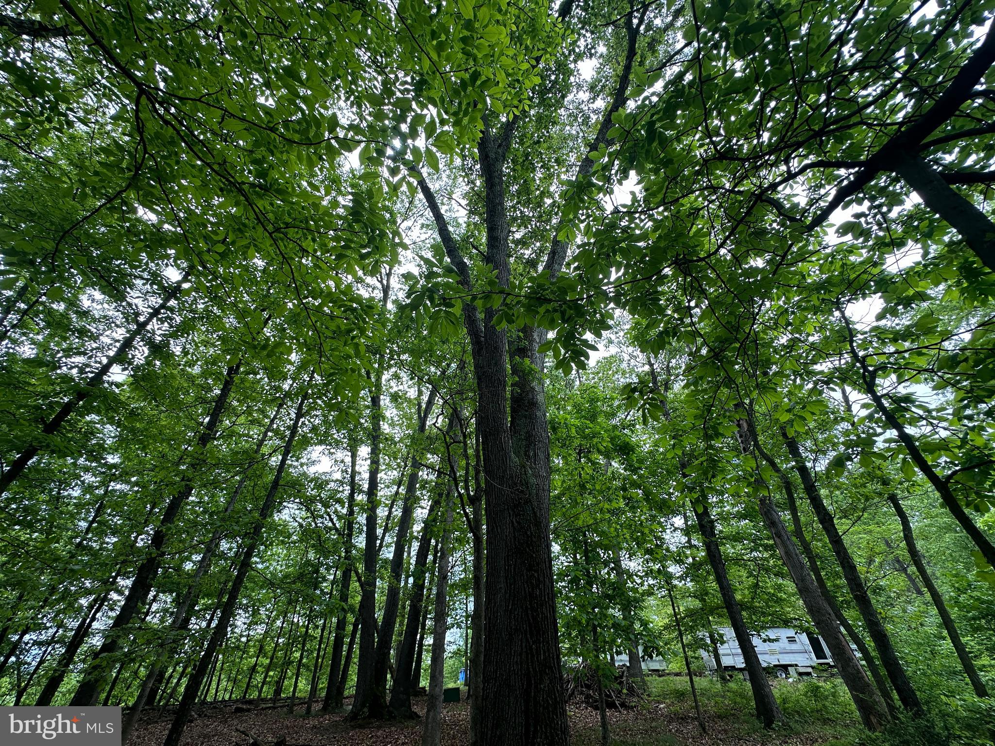 LONG ACRE ESTATES - Land