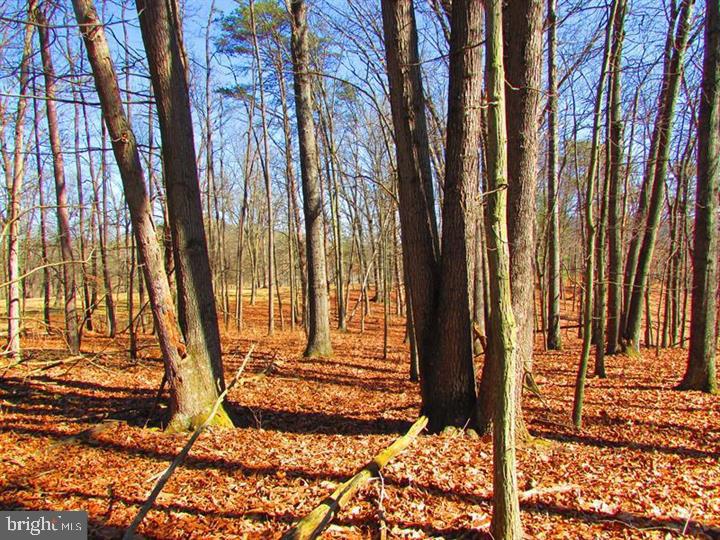 LONG ACRE ESTATES - Land