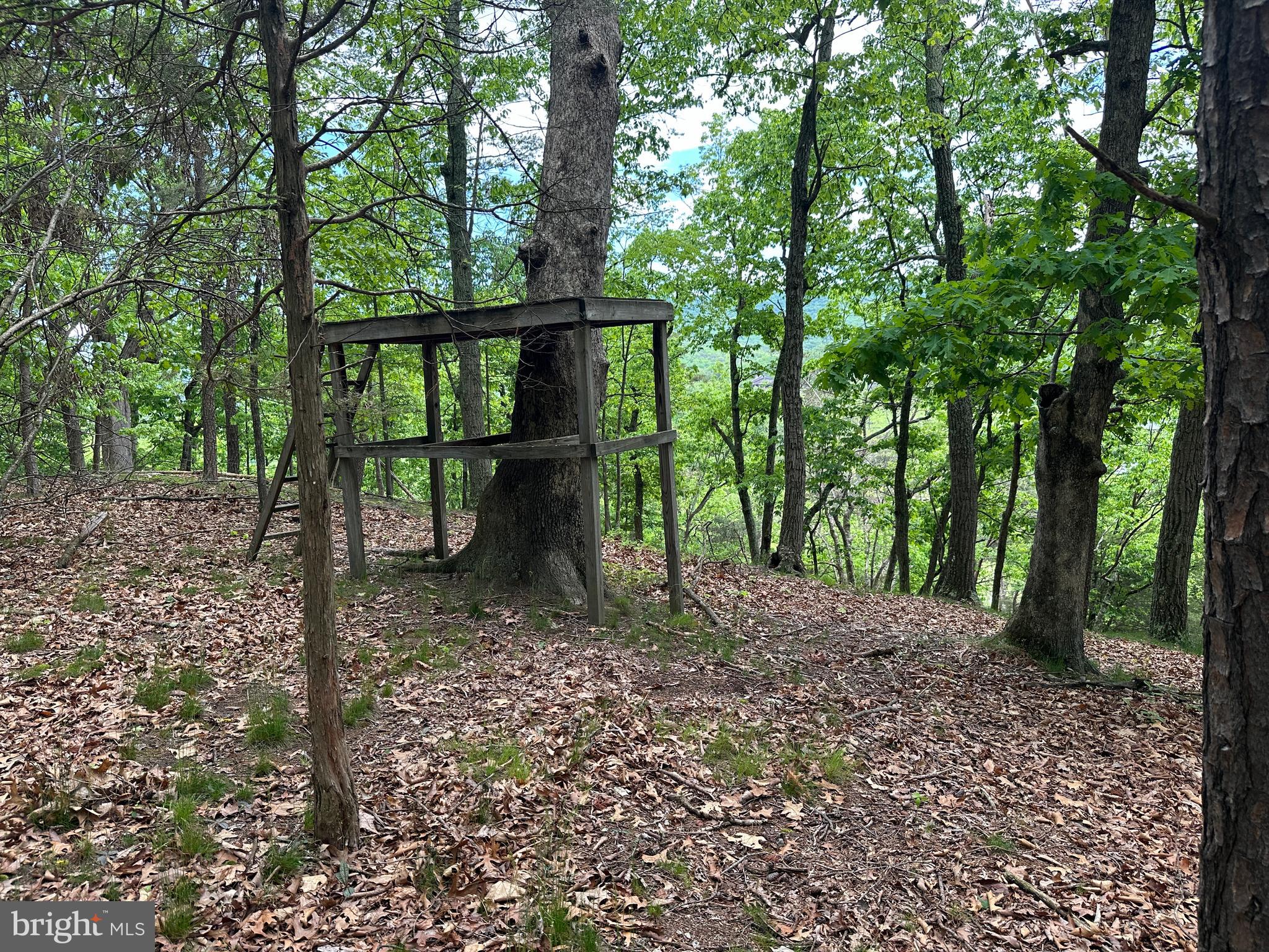 LONG ACRE ESTATES - Land