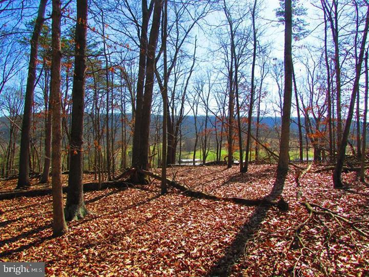 LONG ACRE ESTATES - Land