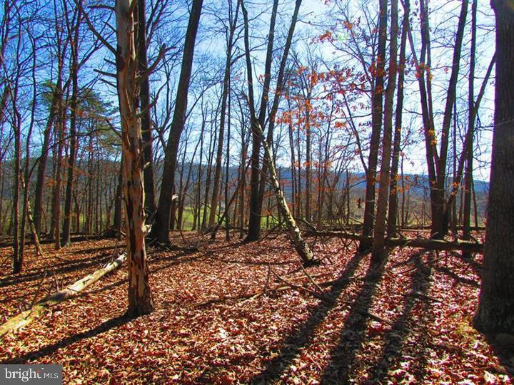 LONG ACRE ESTATES - Land