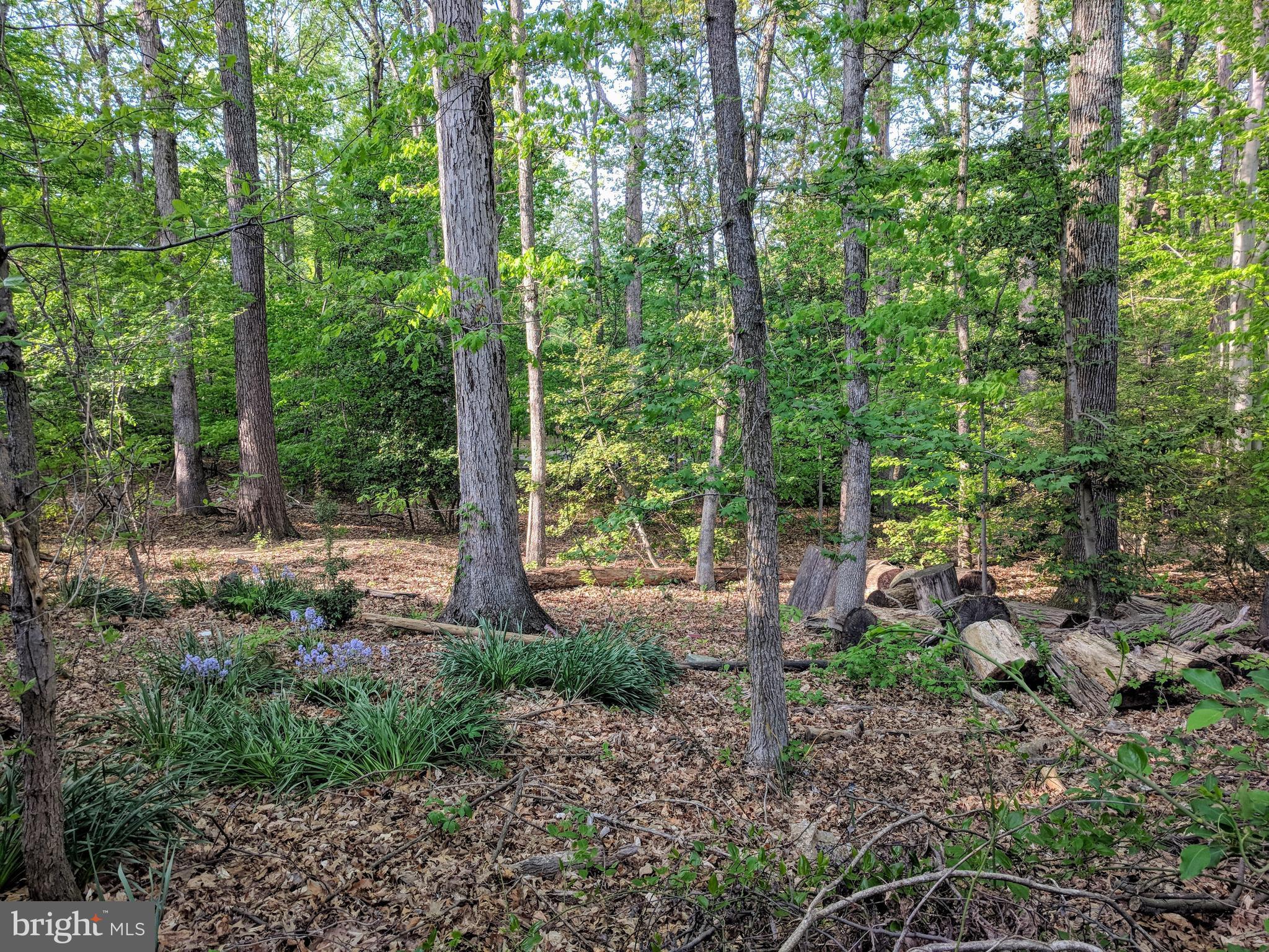 NEWINGTON FOREST - Residential