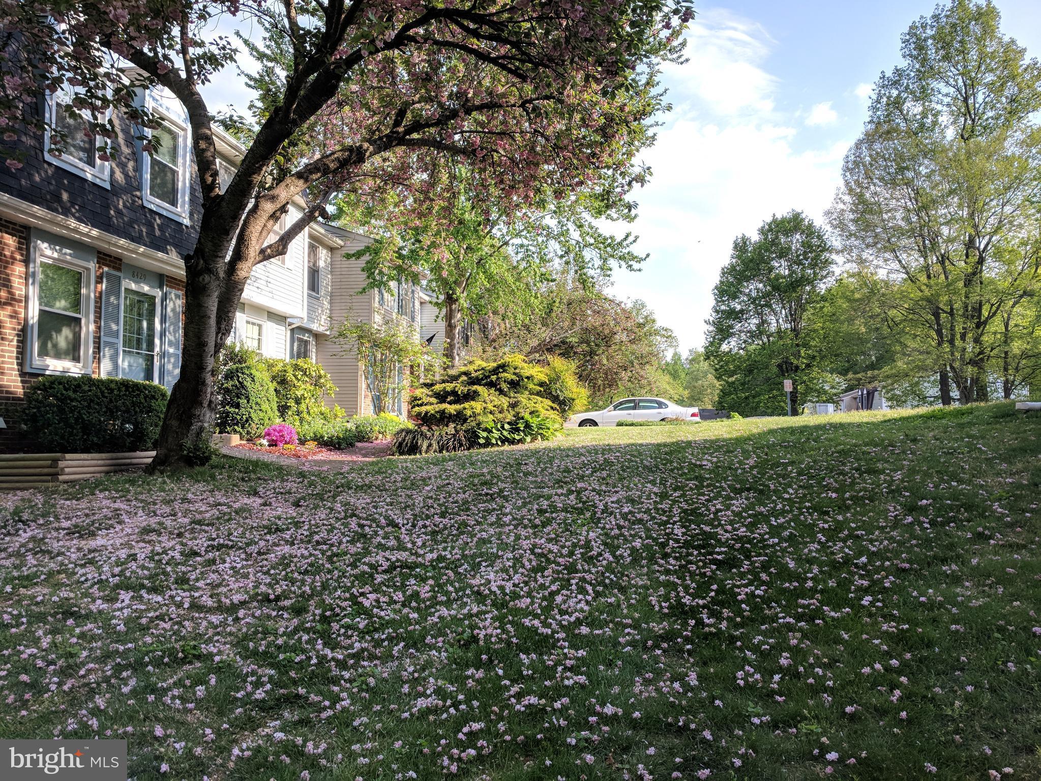 NEWINGTON FOREST - Residential