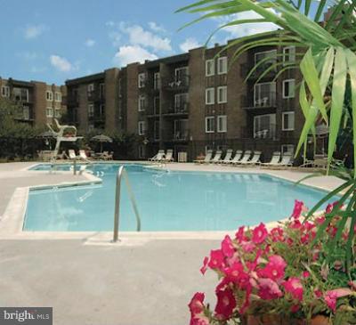 TWENTY-ONE - Residential