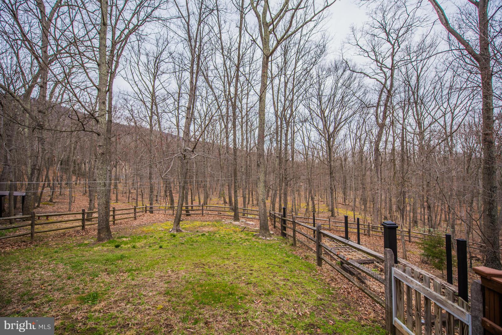 ROCK GAP WOODS - Residential