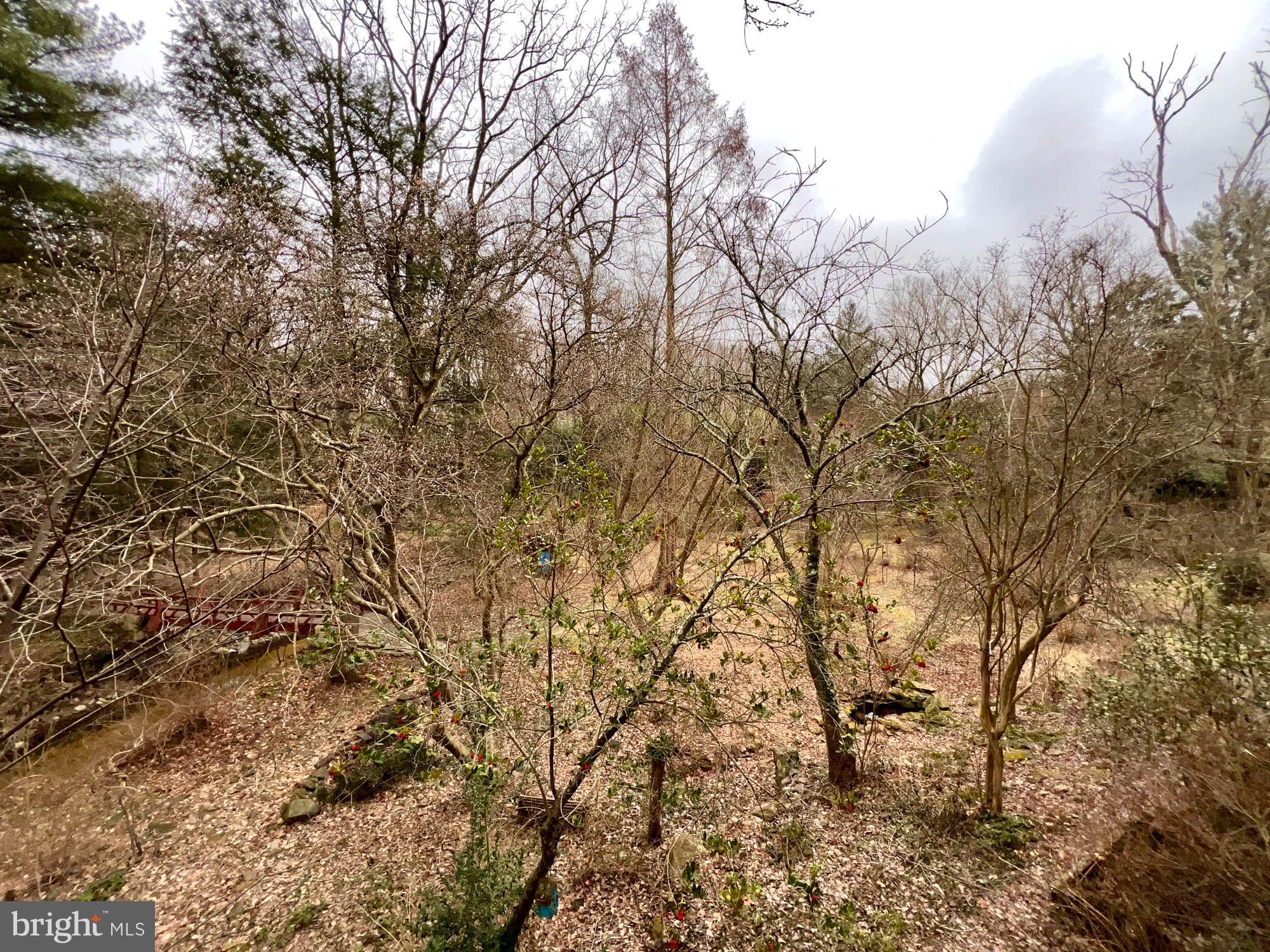 PARKVILLE - Residential