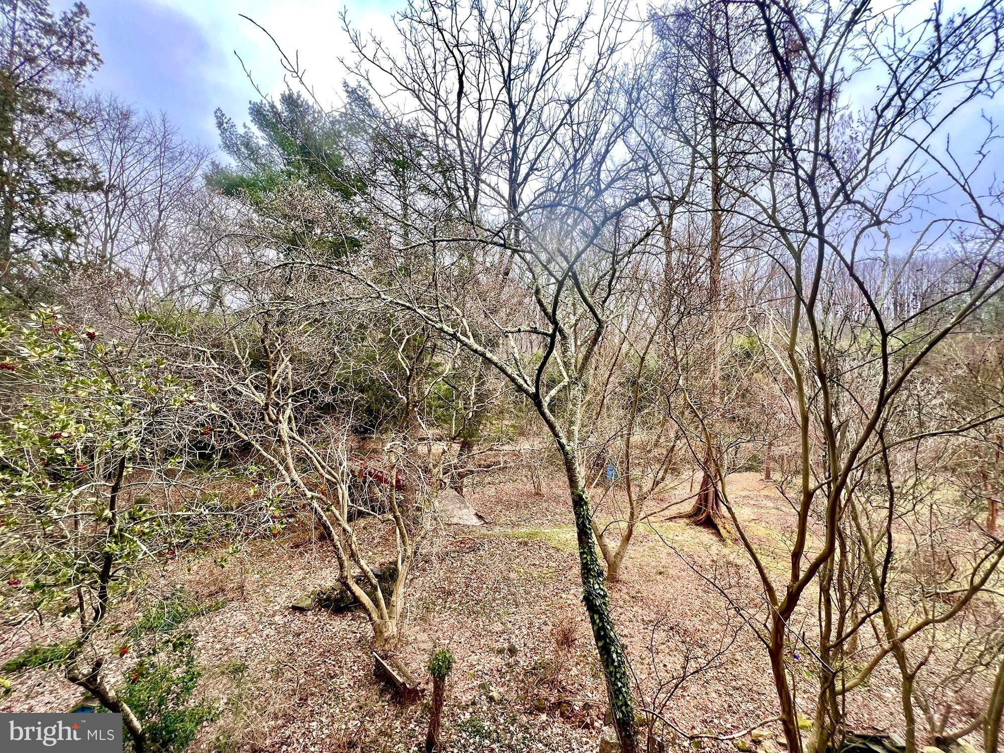 PARKVILLE - Residential